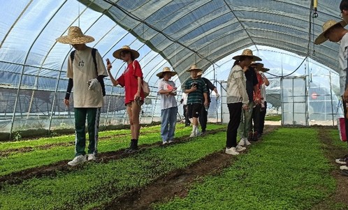 青春献礼二十大｜化学工程与技术学院共“化”青春乡村振兴实践团赴宁河东棘坨镇开展“三下乡”社会实践活动